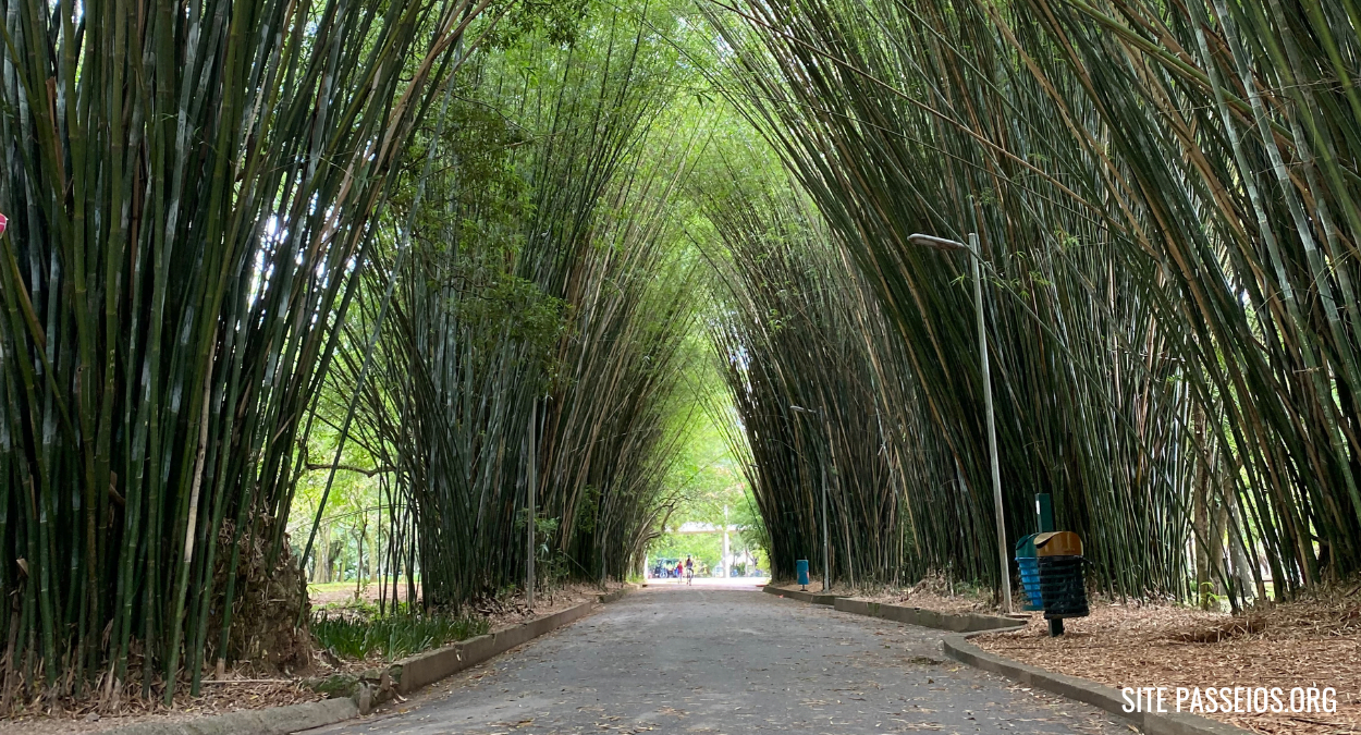 Parque Ibirapuera