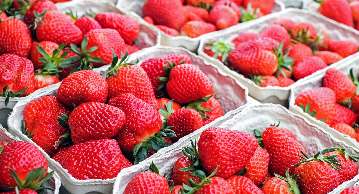 Festa das Flores e Morangos de Atibaia 2023 começa nesta quinta, veja detalhes! (imagem: Canva)