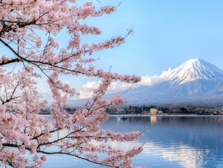 6 curiosidades sobre o Japão que você não sabia (imagem: Canva)