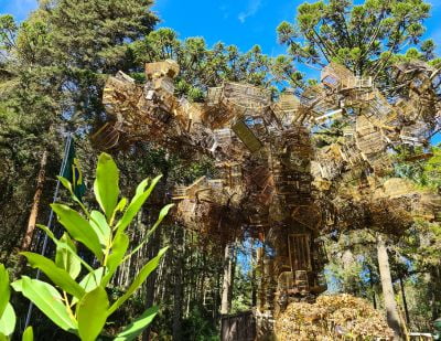 Parque Tambuí (imagem: Divulgação)