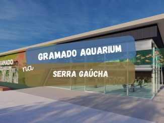 Gramado Aquarium: conheça a nova atração da Serra Gaúcha (imagem: Divulgação)
