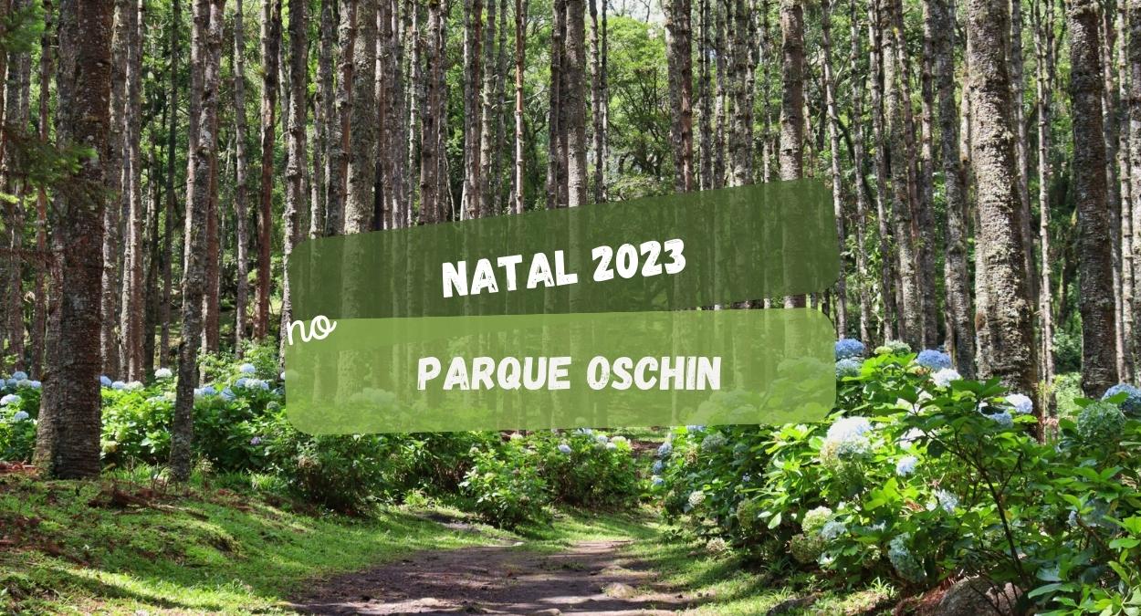 Monte Verde se Ilumina para o Natal no Parque Oschin 2023 (imagem: Canva)