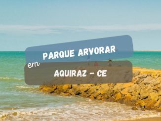 Beach Park terá um novo parque de aves no Ceará: o Parque Arvorar (imagem: Canva)