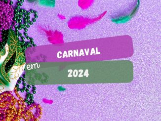 Voos para o Nordeste no Carnaval 2024: Bahia terá o maior número de voos (imagem: Canva)
