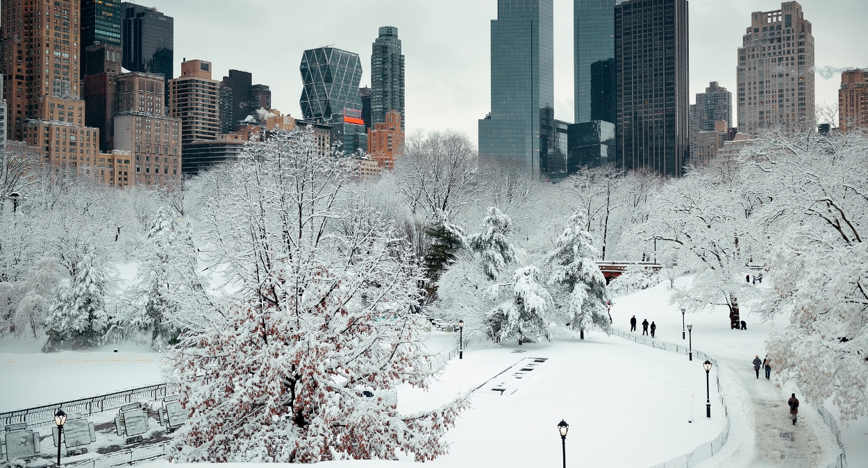 Central Park (imagem: Canva)