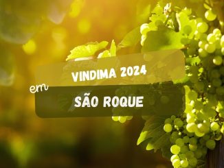 Vindima 2024 em São Roque: veja as atrações da Vinícola Góes (imagem: Canva)