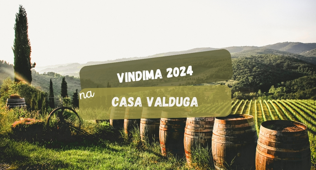 Vindima 2024 na Casa Valduga (imagem: Canva)