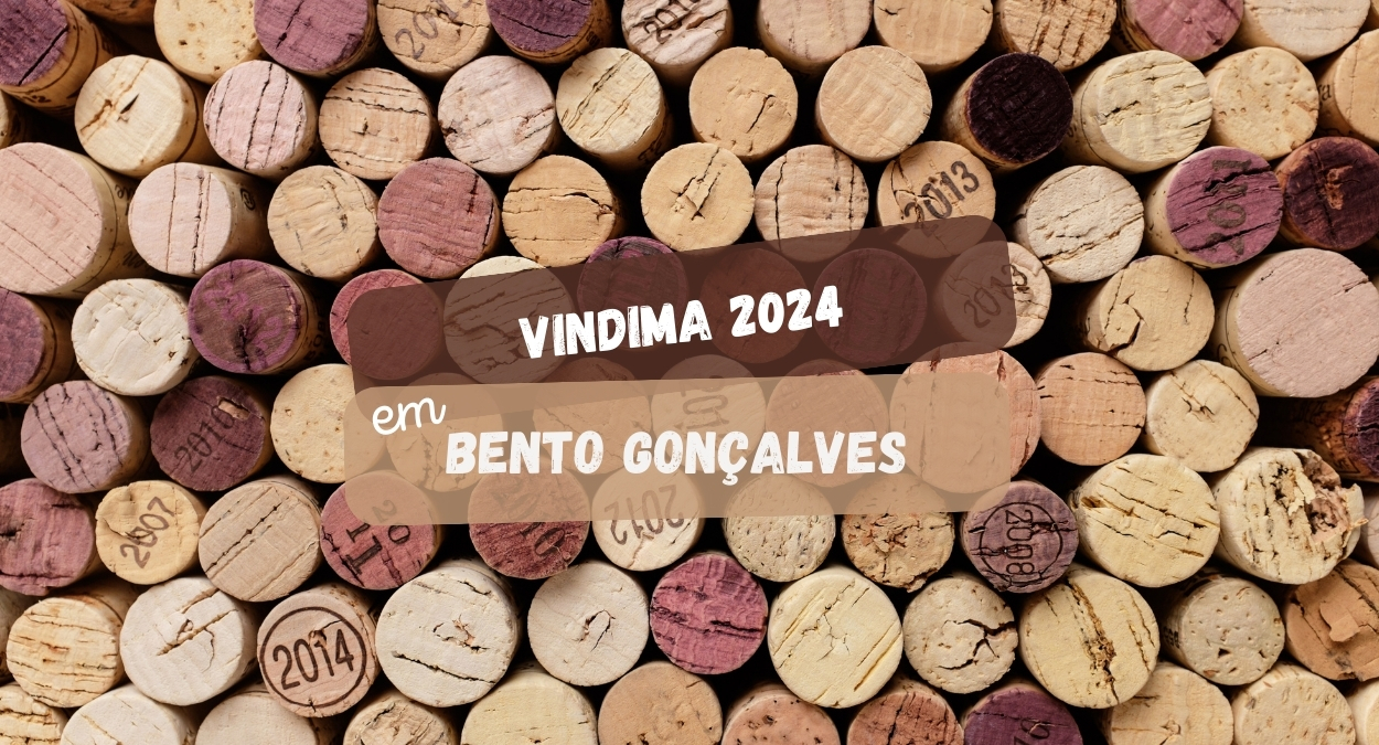 Vindima 2024 em Bento Gonçalves (imagem: Canva)