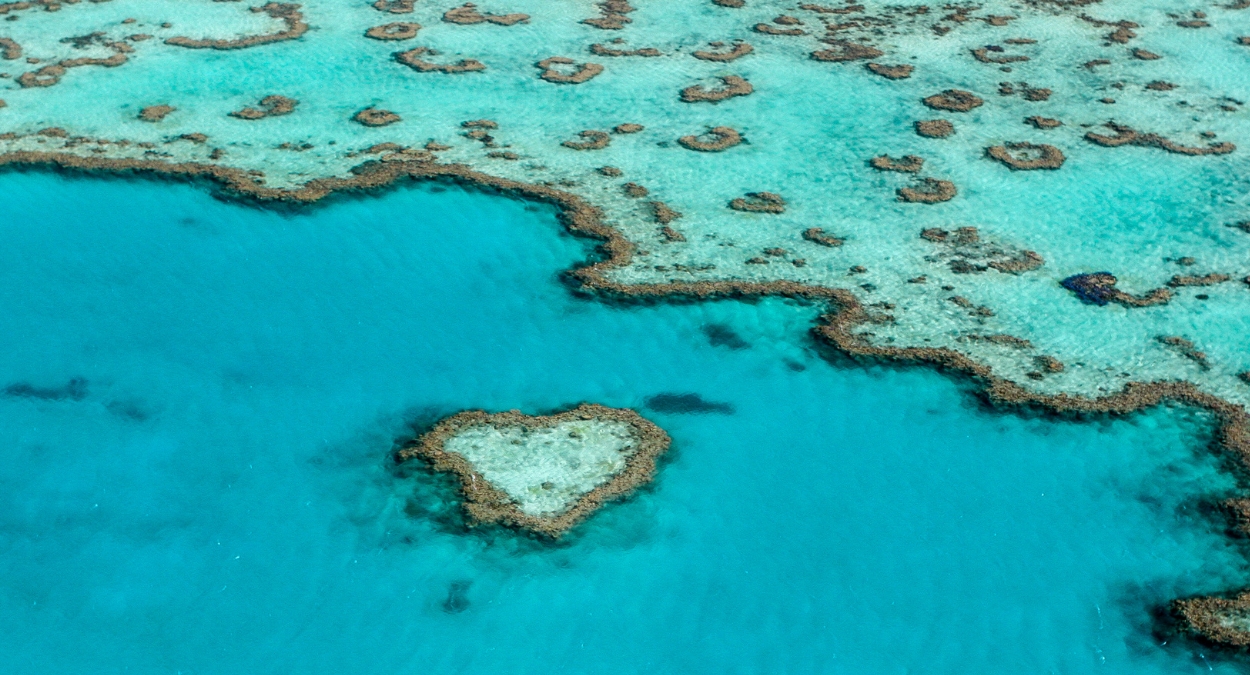 Barreira de Corais da Austrália (imagem: Canva)