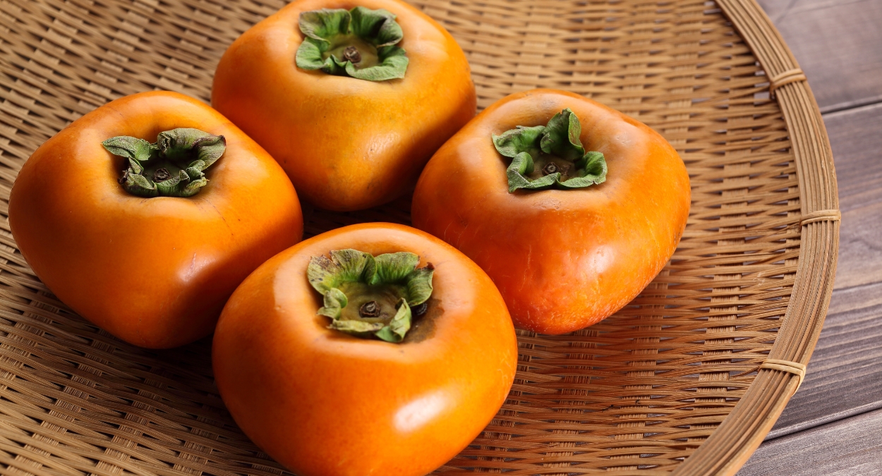 Festa do Caqui de Itatiba 2025 (imagem: Canva)