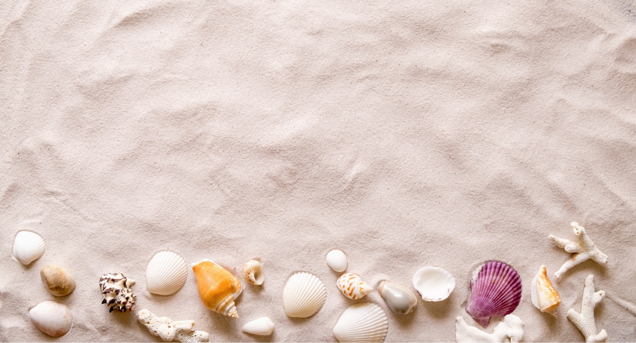 Carnaval Iriri 2024 (imagem: Canva)