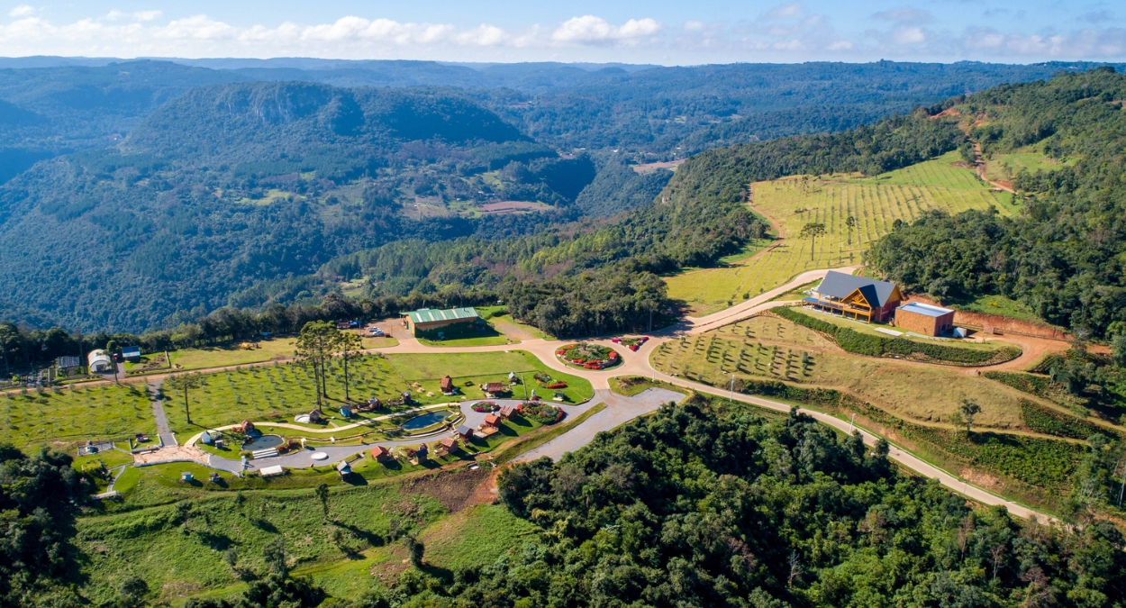 Olivas de Gramado (imagem: Reprodução)