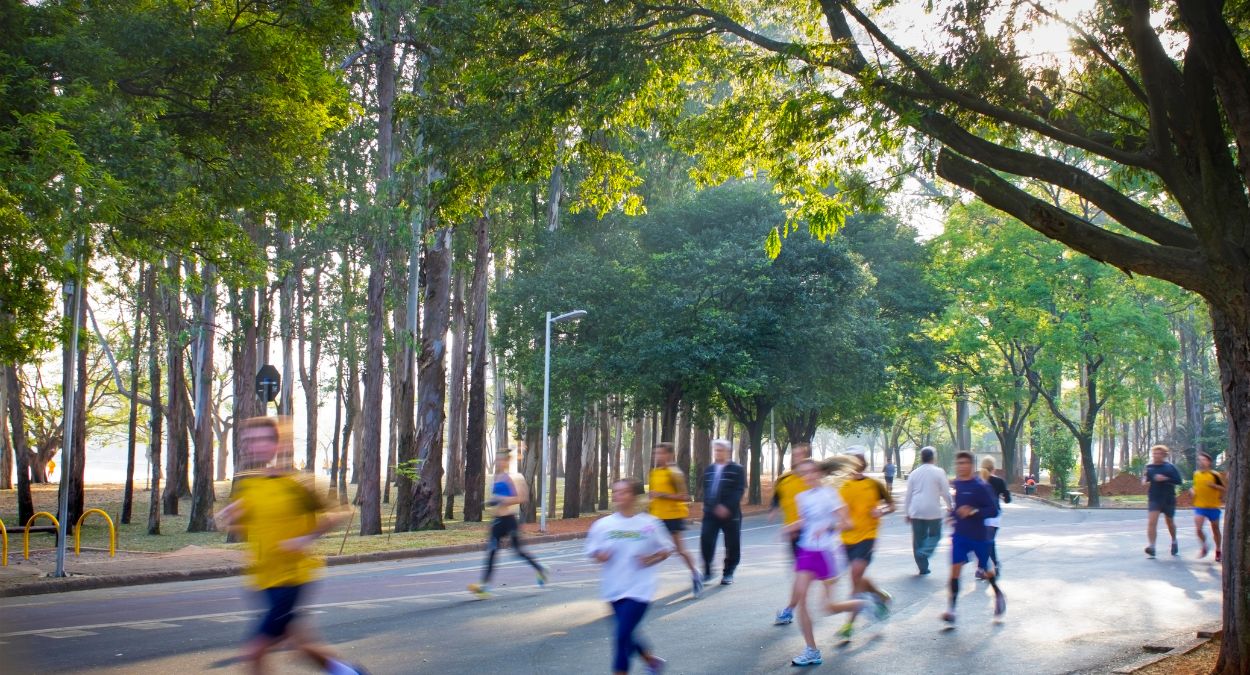 Parque Ibirapuera (imagem: Canva)