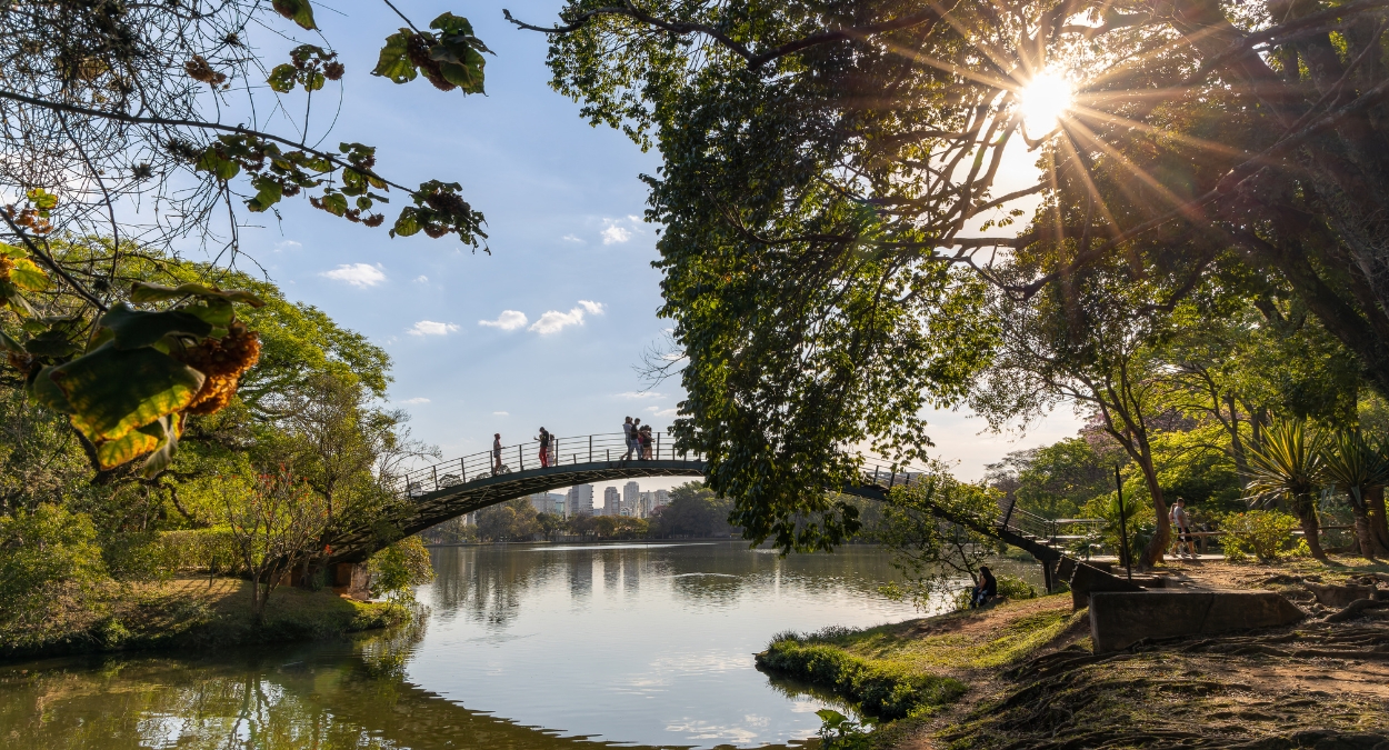 São Paulo (imagem: Canva)