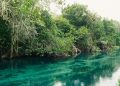 O que fazer em Bonito Mato Grosso do Sul?
