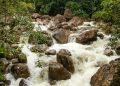 Itatiaia (imagem: Canva)