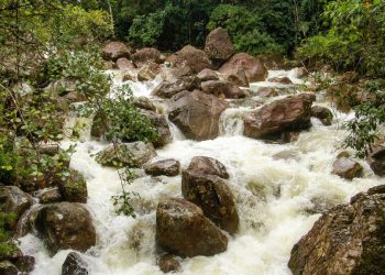 Itatiaia (imagem: Canva)