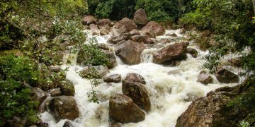 Itatiaia (imagem: Canva)