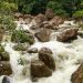 Itatiaia (imagem: Canva)