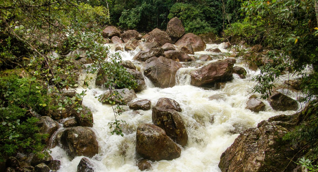 Itatiaia (imagem: Canva)