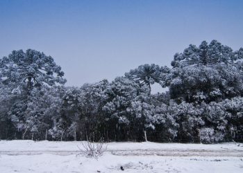 Neve em Urubici (imagem: Canva)