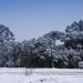 Neve em Urubici (imagem: Canva)