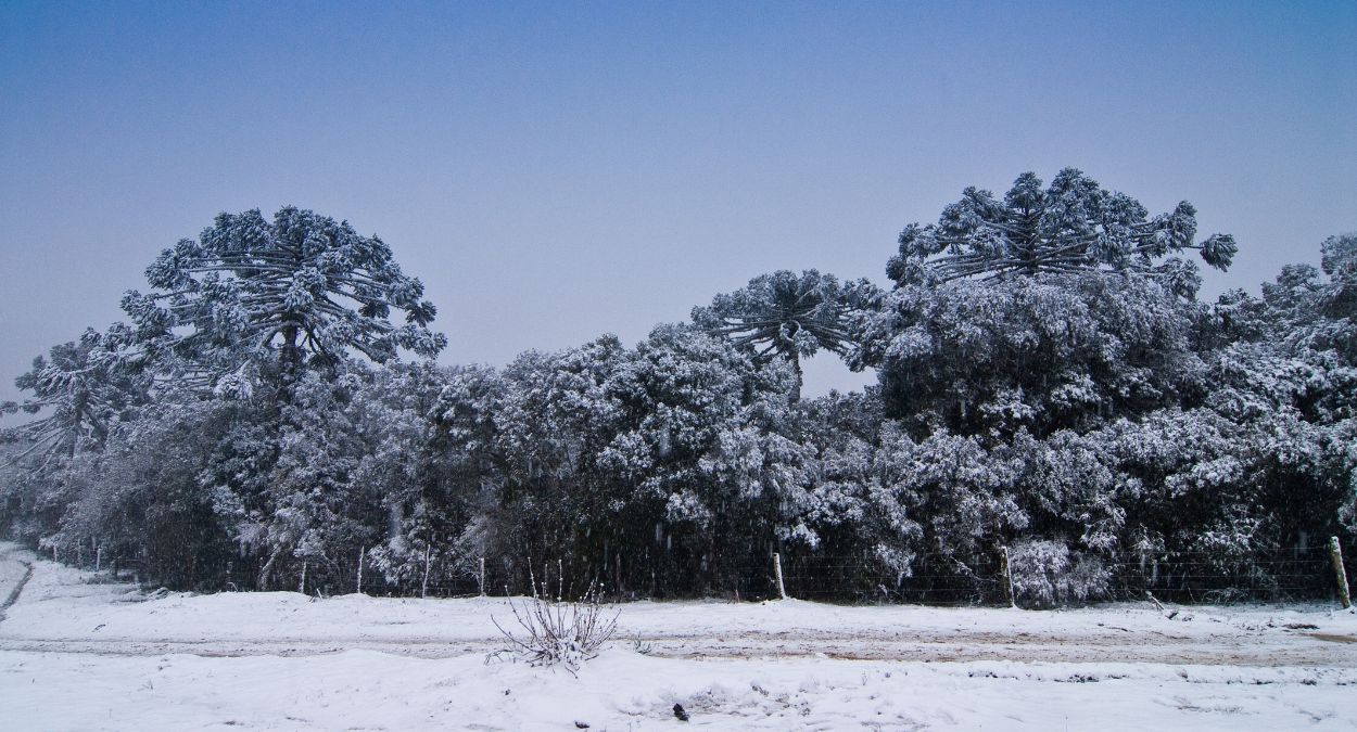 Neve em Urubici (imagem: Canva)