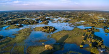 Pantanal em Corumbá (imagem: Canva)