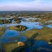 Pantanal em Corumbá (imagem: Canva)