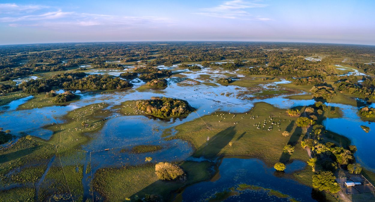 Pantanal em Corumbá (imagem: Canva)