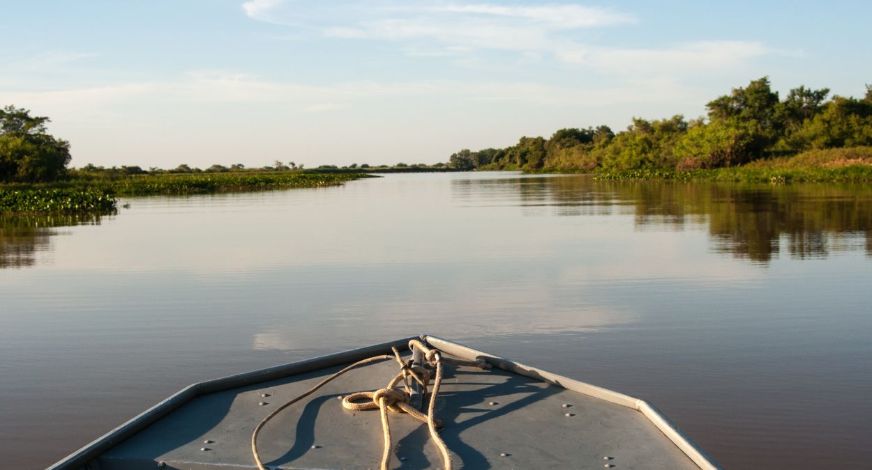 Pantanal Matogrossense (imagem: Canva)