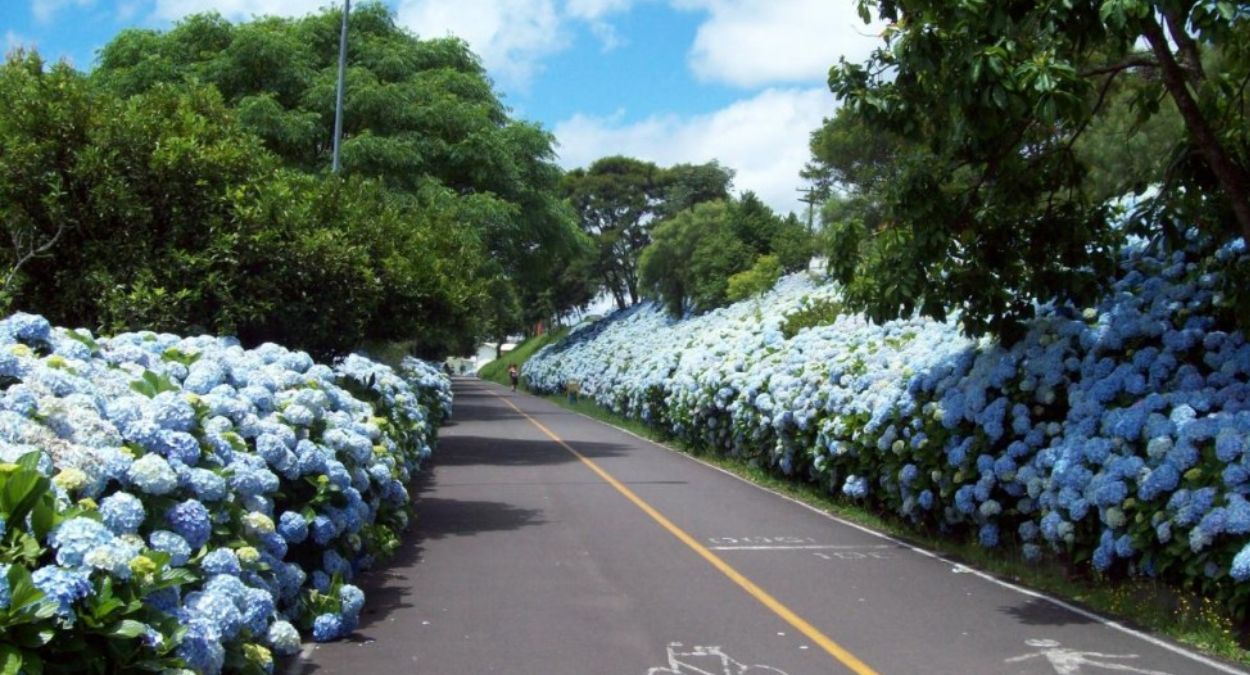 Carlos Barbosa (imagem: Reprodução)