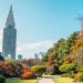 Parque em Tóquio (imagem: Canva)