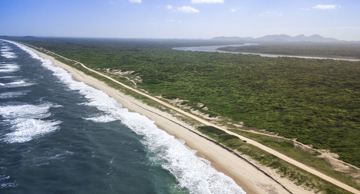 Praia do Ervino (imagem: Canva)