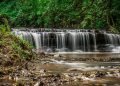 Cachoeira em Prudentópolis (imagem: Canva)