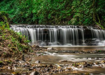 Cachoeira em Prudentópolis (imagem: Canva)