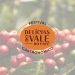 Delícias do Vale do Café 2024 (imagem: Canva)