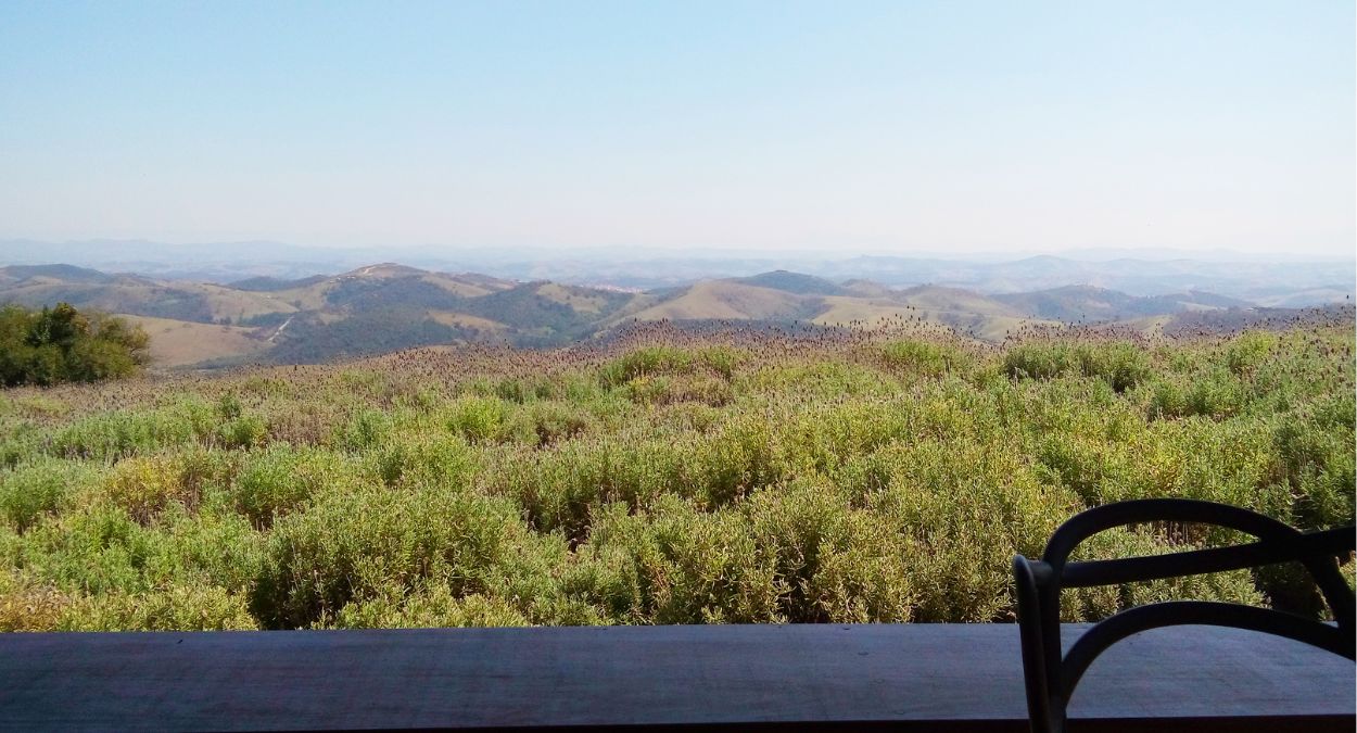 Lavandário (imagem: Wikimedia Commons)