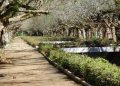 Parque das Águas em Caxambu (imagem: Canva)
