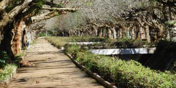Parque das Águas em Caxambu (imagem: Canva)