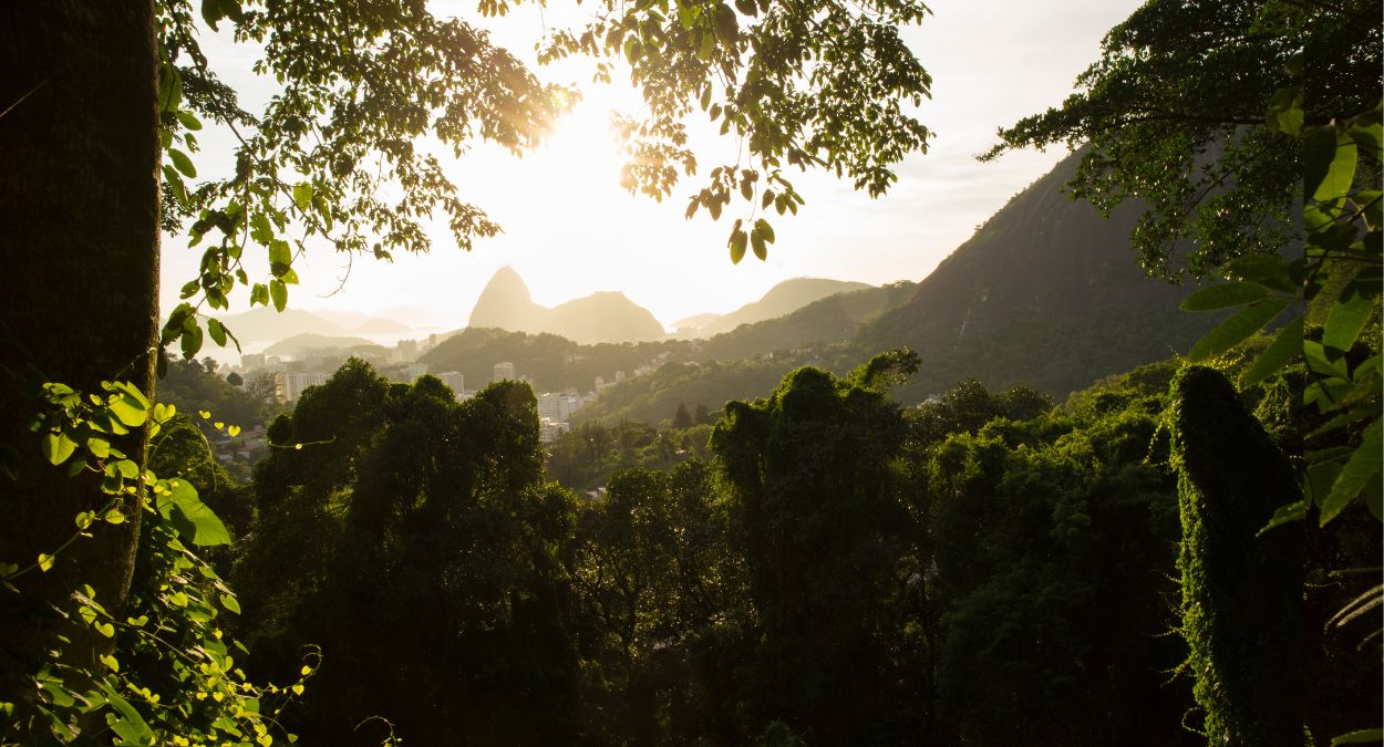 Parque Nacional da Tijuca (imagem: Canva)