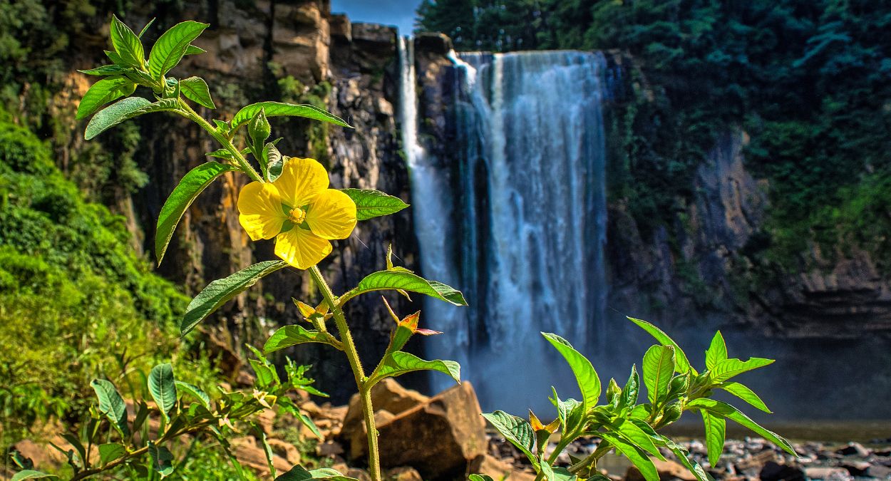Salto Barão do Rio Branco em Prudentópolis (imagem: Canva)