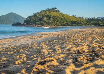 Ubatuba (imagem: Canva)