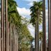 Parque em São José dos Campos (imagem: Canva)