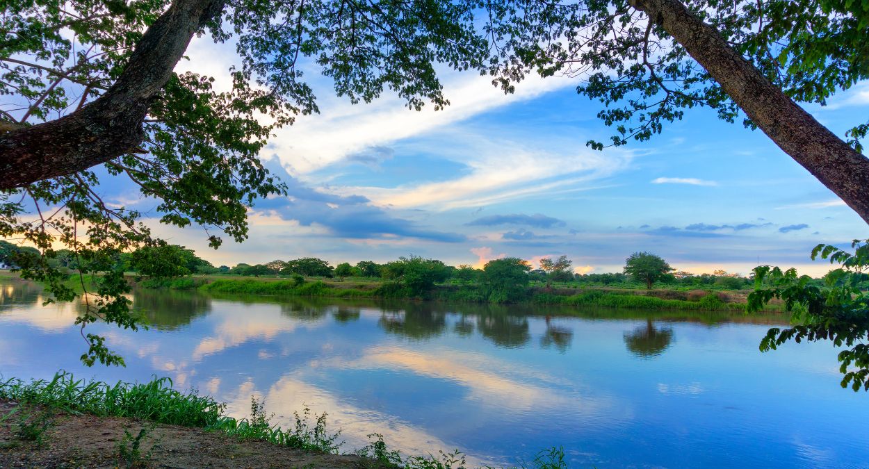 Rio Magdalena (imagem: Canva)