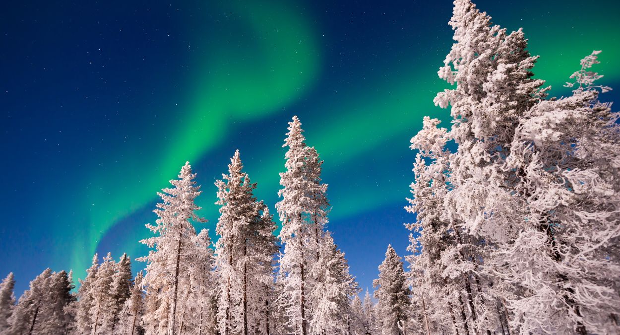 Aurora Boreal na Finlândia (imagem: Canva)