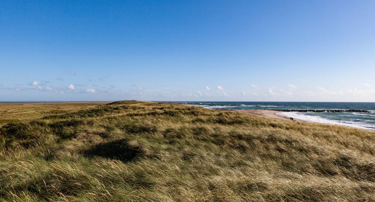 Parque nacional Thy (imagem: Canva)