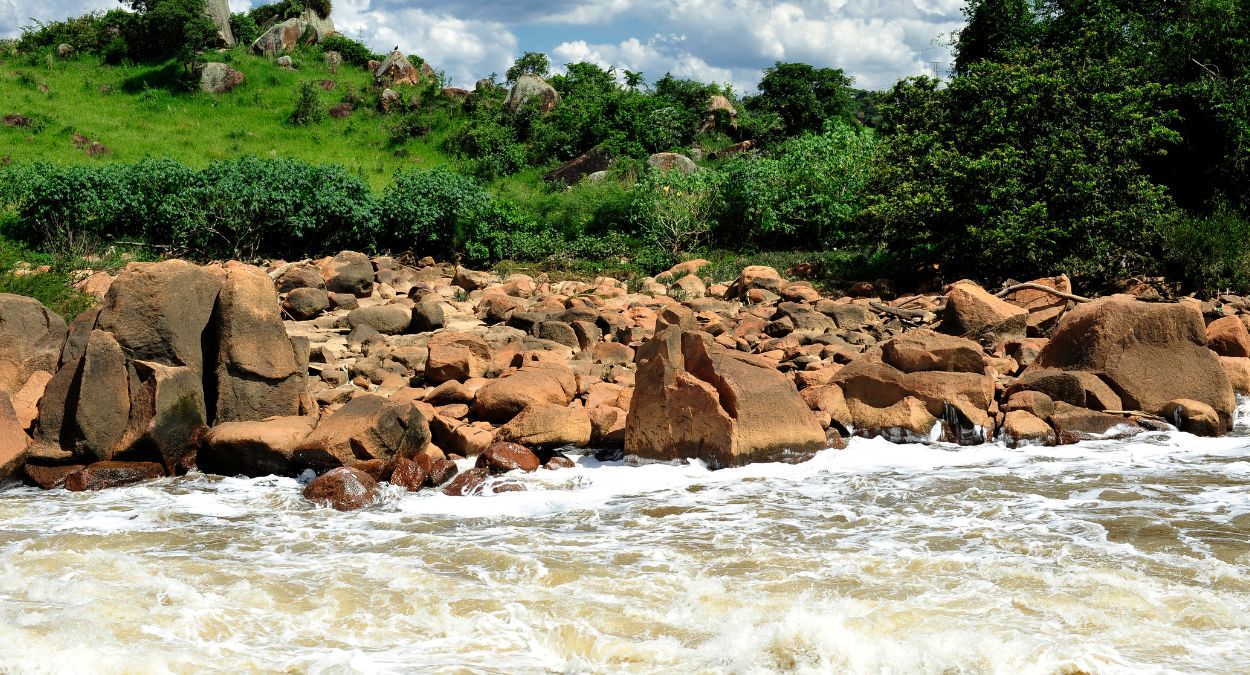 Tietê (imagem: Canva)