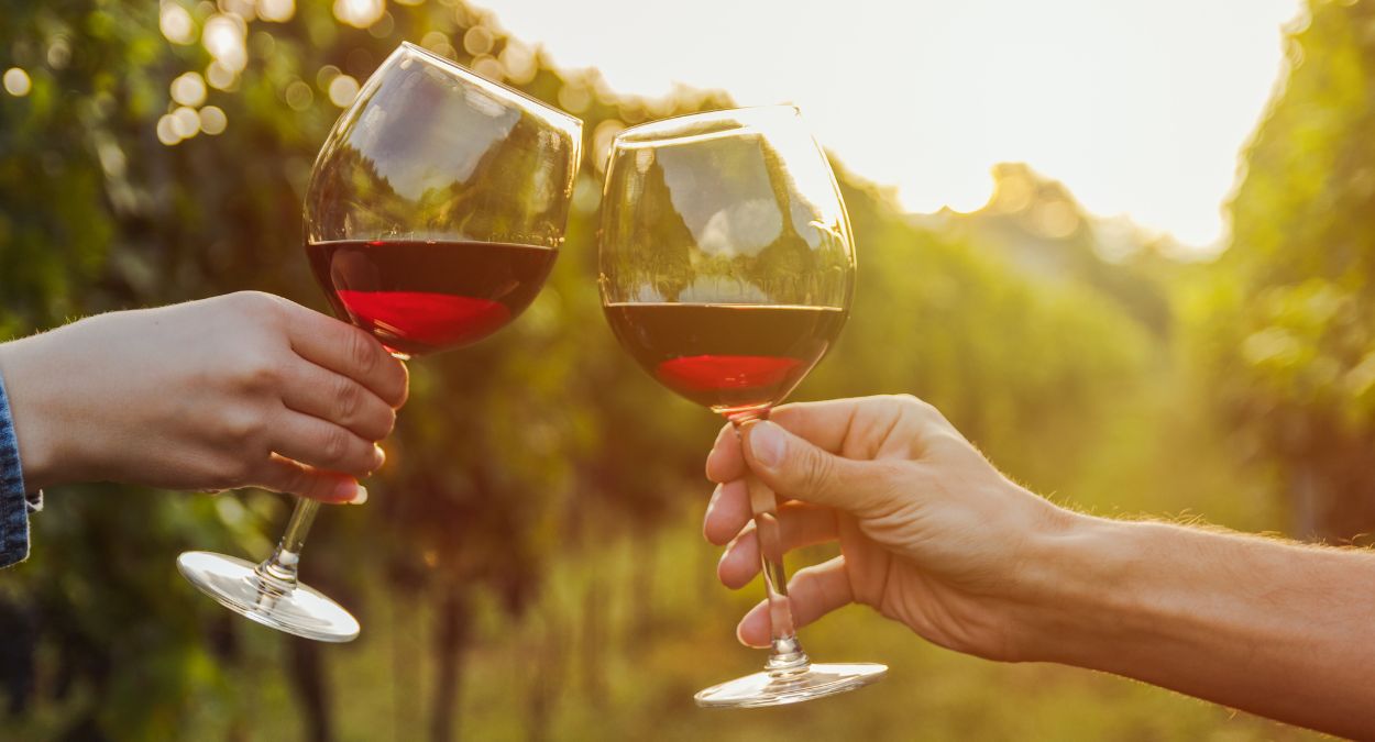 Vindima (imagem: Canva)