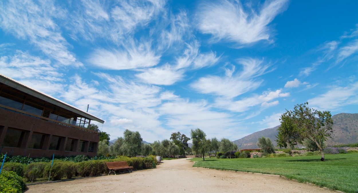 Vinícola no Chile (imagem: Canva)